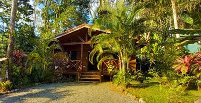 Income Producing Jungle Retreat with 8 Cabinas and Pool in the Heart of Uvita image 4
