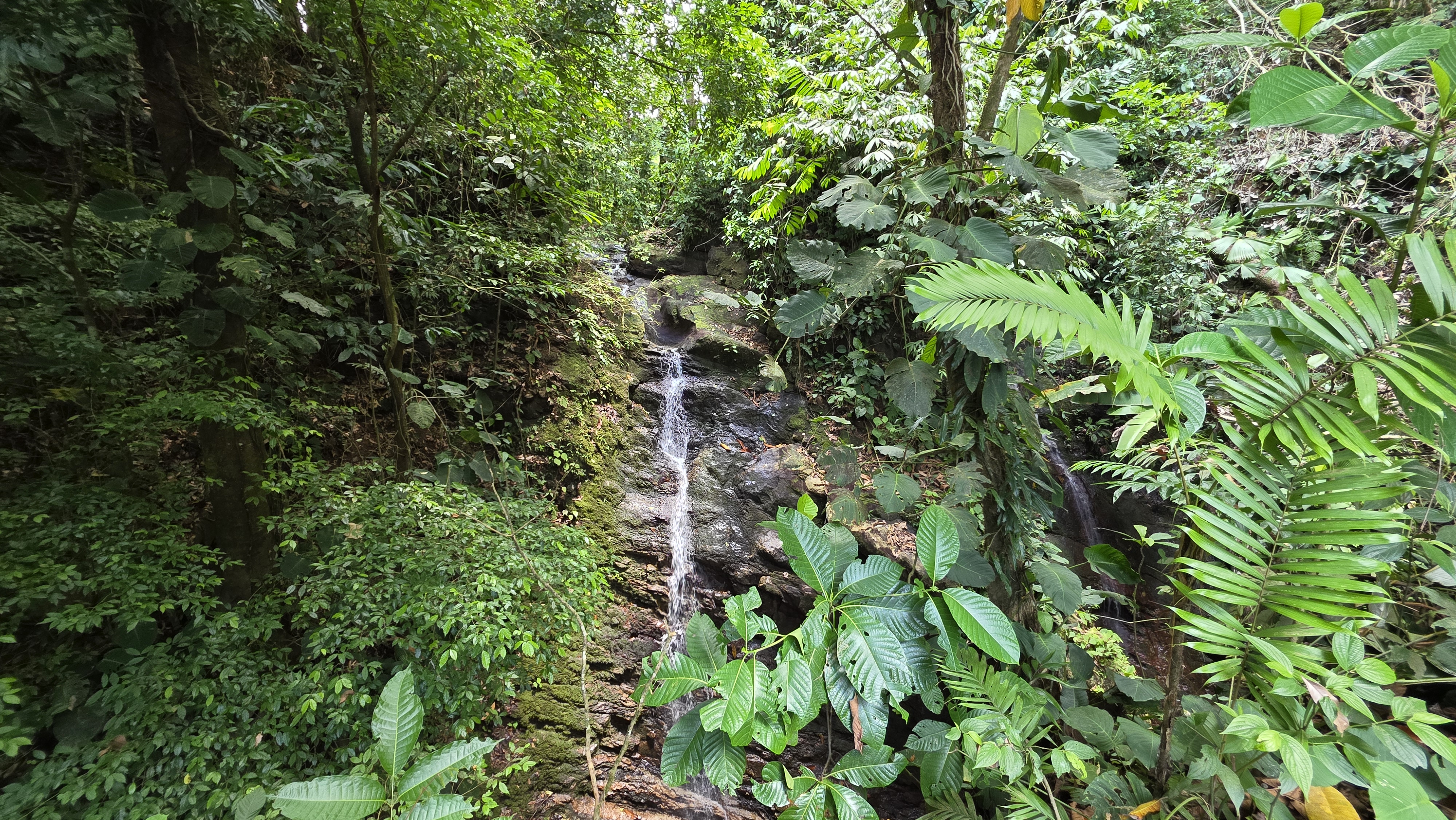 Private Waterfall Retreat in Costa Rica with Total Privacy  selected
