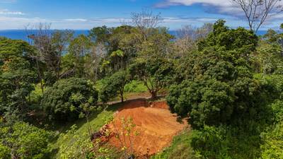 Expansive Ocean View Lot for Sale in Cinco Ventanas, Ojochal image 5