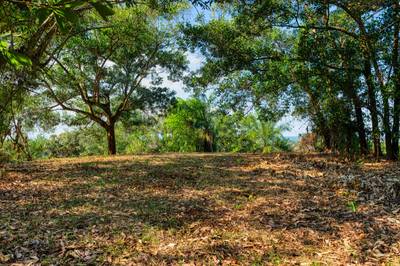 Ocean-View Property with Prime Location and Development Potential in Uvita image 3