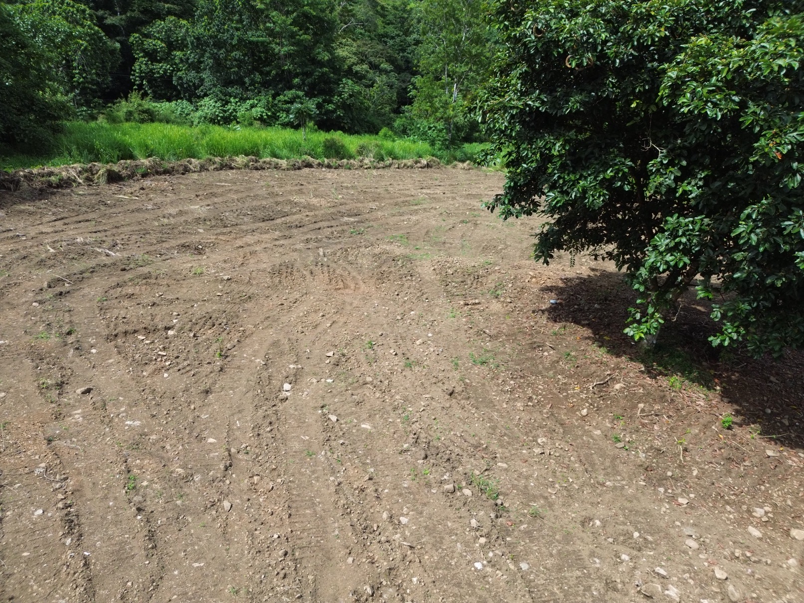 Serene 1.32-Acre Lot with Expansive Mountain Views in Caracara Ridge, Ojochal selected