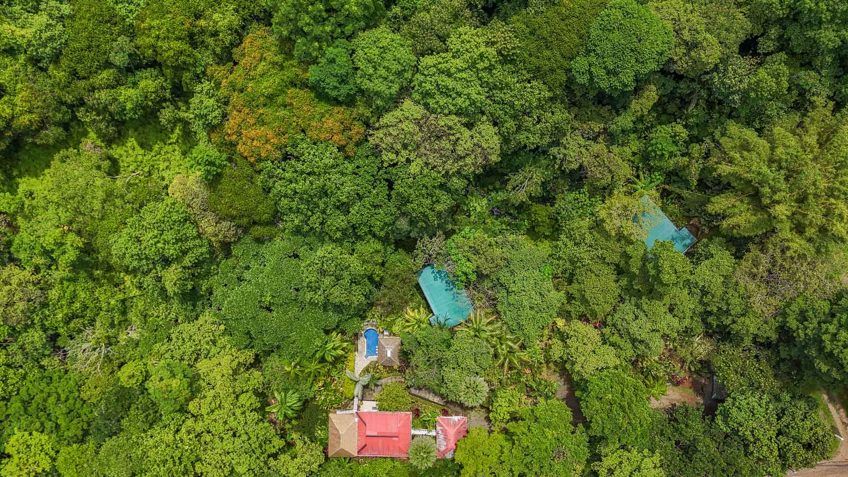 Jungle Sanctuary with Income-Generating Casitas, Creek, Pool & Ultimate Privacy in Ojochal selected