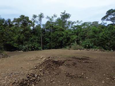Exceptional Lot Offering Peace and Privacy in Ojochal image 5