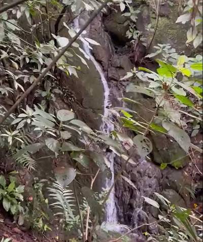 Mountain View Home Site with Seasonal Waterfall and Mature Fruit Trees image 4
