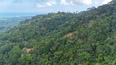 Rare 25+ Acre Opportunity in Uvita image 5