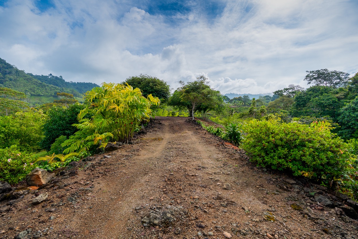 Ocean View Development Property with Waterfall Vista — 14.83 Acres in San Luis de Morete, Near Uvita selected