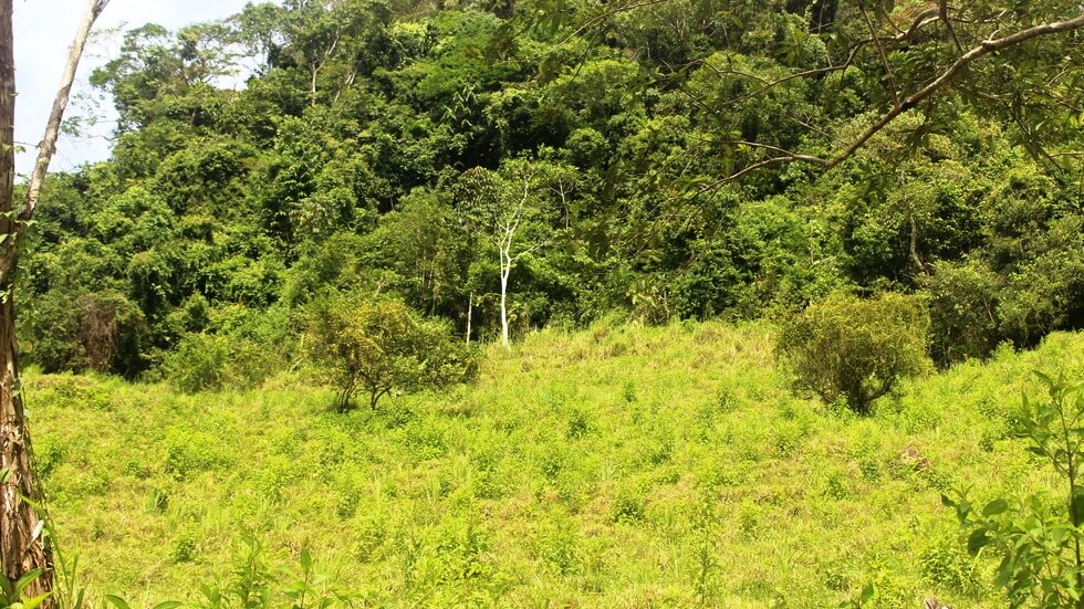 Beautiful 72 Acre Farm In Uvita With Waterfalls And Ocean Views selected