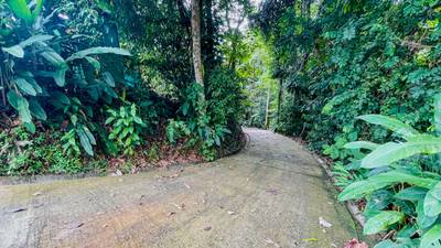 Two Homes on 1.55 Acres with Ocean & Mountain Views – Plus Room to Build! image 4