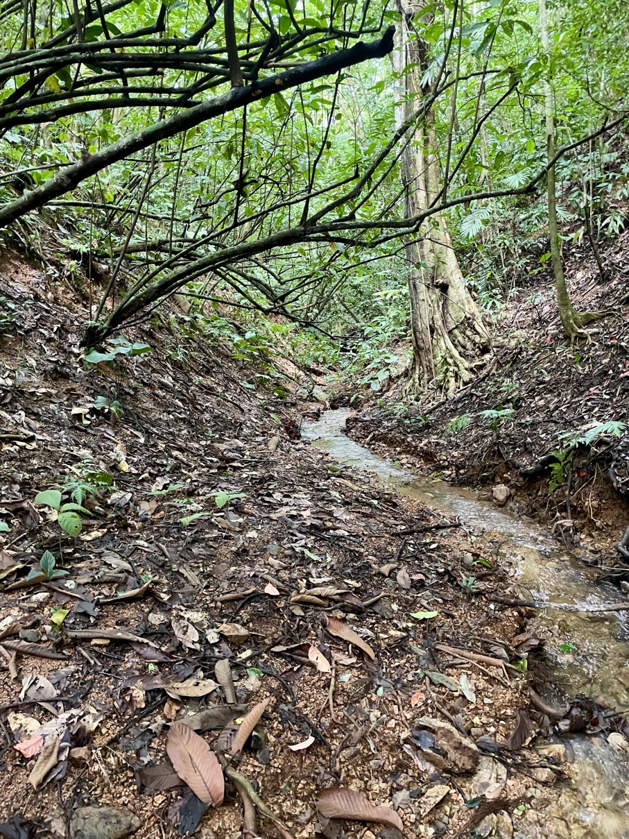 61.78 Acres of Oceanview Bliss with Private Waterfall in Tres Rios selected