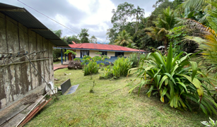 2.9 ACRES – Tons of Fruit Trees, 3 Bedroom Tico Home Plus Bodega In Tinamastes selected