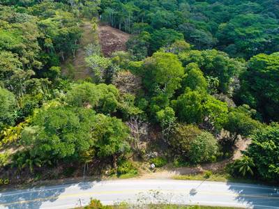 Prime Development Opportunity in Ballena – Commercial and Residential Zoning image 5