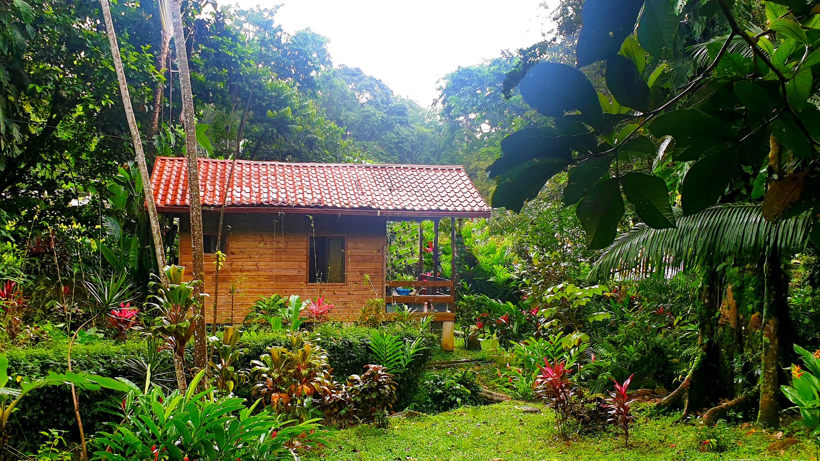 Income Producing Jungle Retreat with 8 Cabinas and Pool in the Heart of Uvita selected