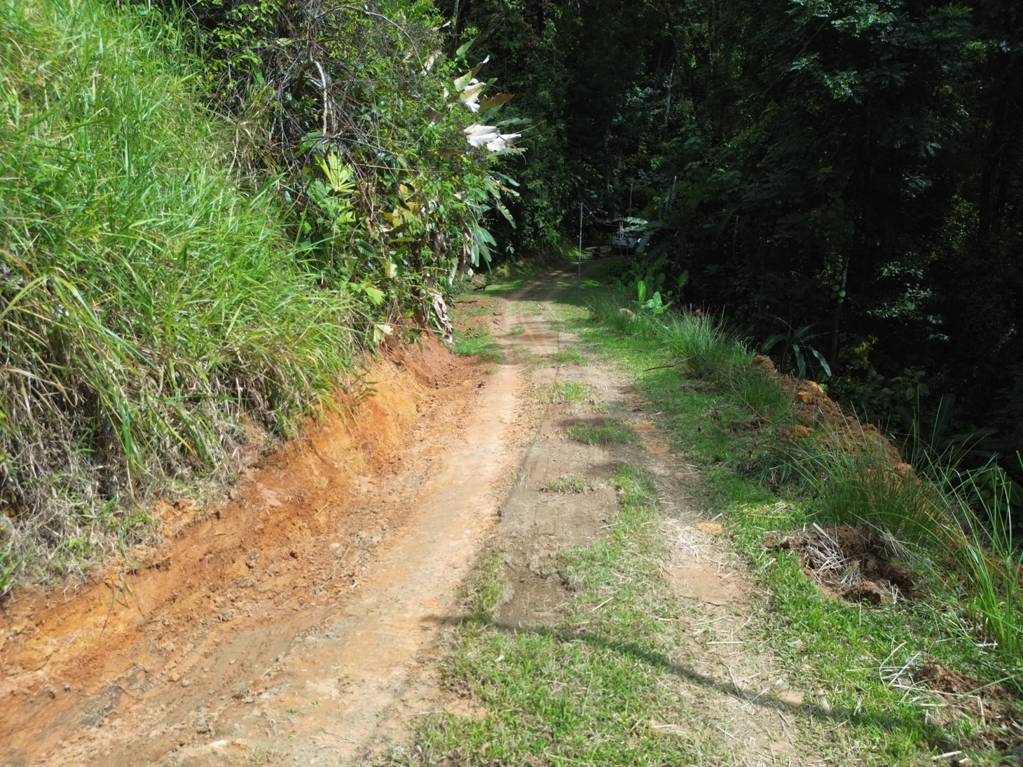 Private Jungle Sanctuary Land For Sale in Uvita, Costa Rica selected