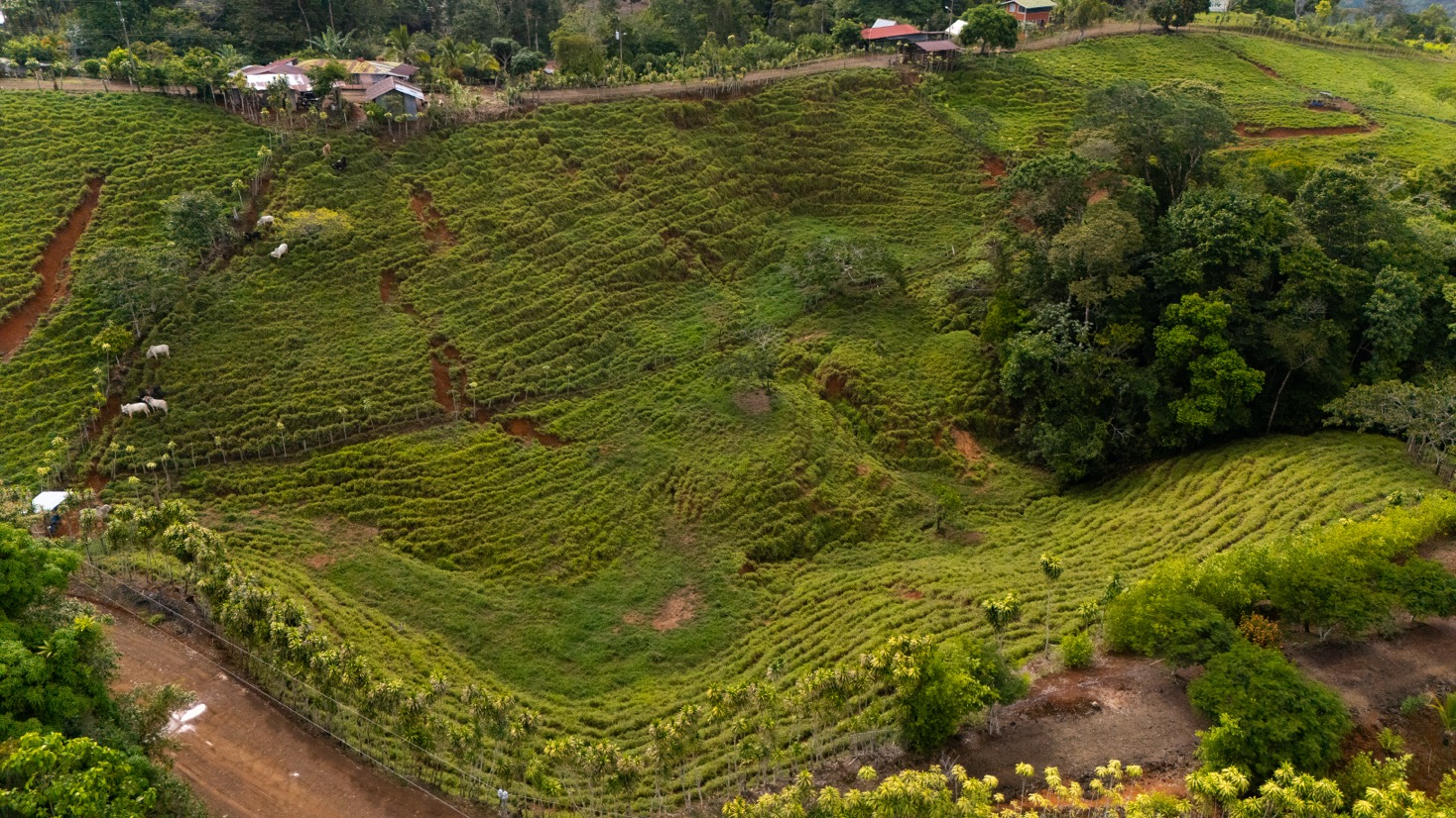 Ocean View Development Property with Waterfall Vista — 14.83 Acres in San Luis de Morete, Near Uvita selected