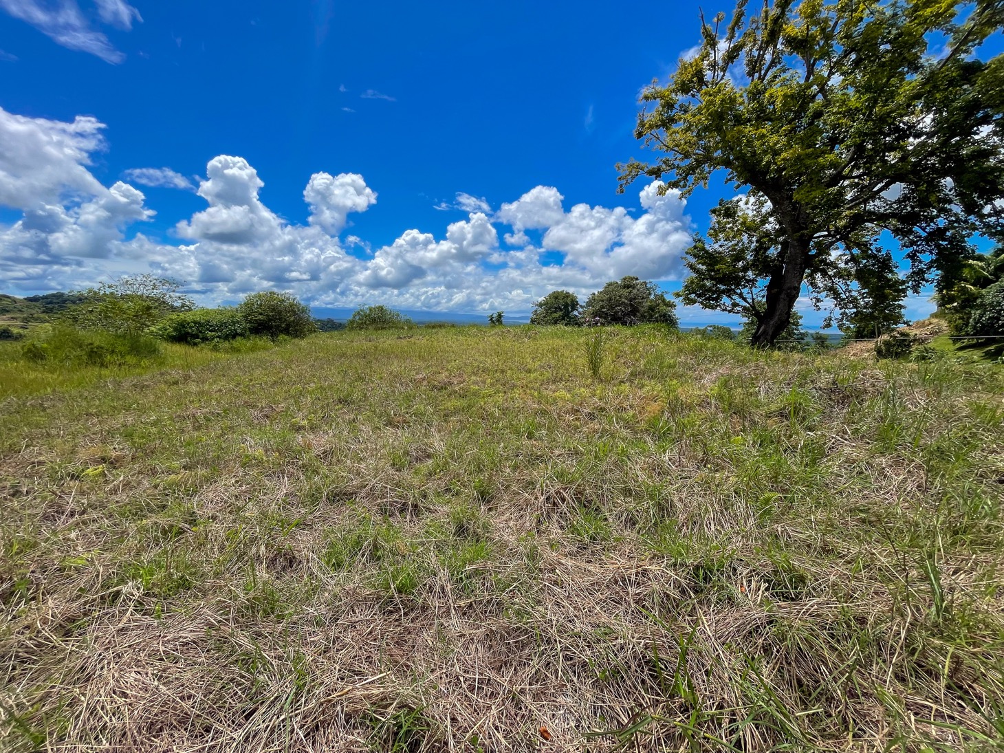 Stunning Lot for Sale in Southern Costa Rica – A Rare Opportunity! selected