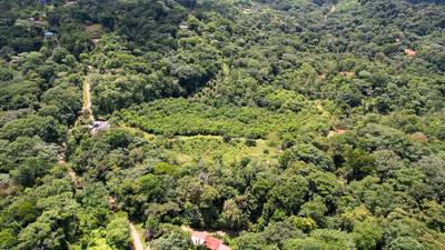 Premium 9.3-Hectare Farm for Sale in Ojochal, Costa Rica image 5