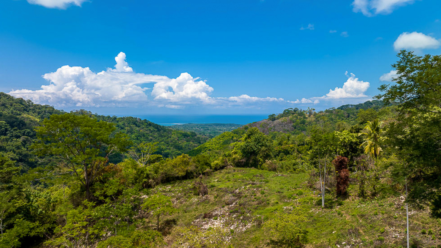 Whale Tail Views Luxury Waterfall Farm selected