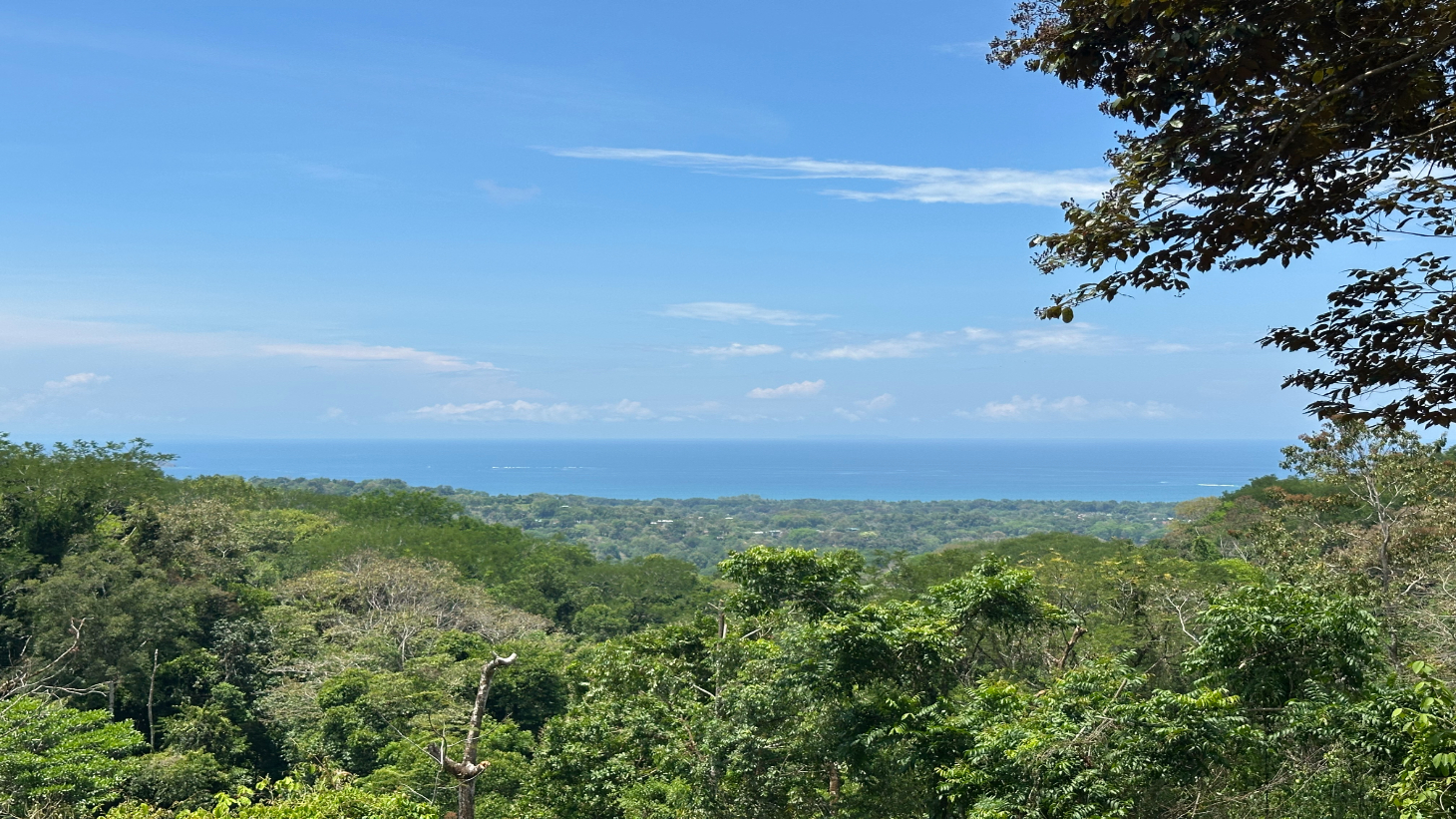 Ocean View Estate Lot with Private Waterfall – Uvita selected