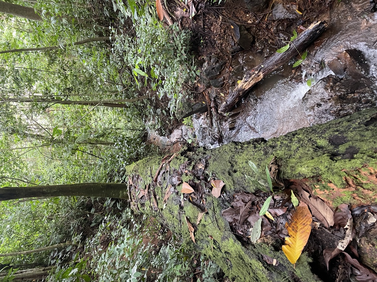 61.78 Acres of Oceanview Bliss with Private Waterfall in Tres Rios selected