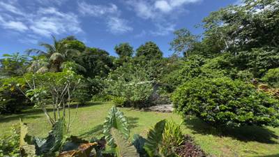 Property for Sale in Ojochal With 2.93 Hectares & Development Potential image 5