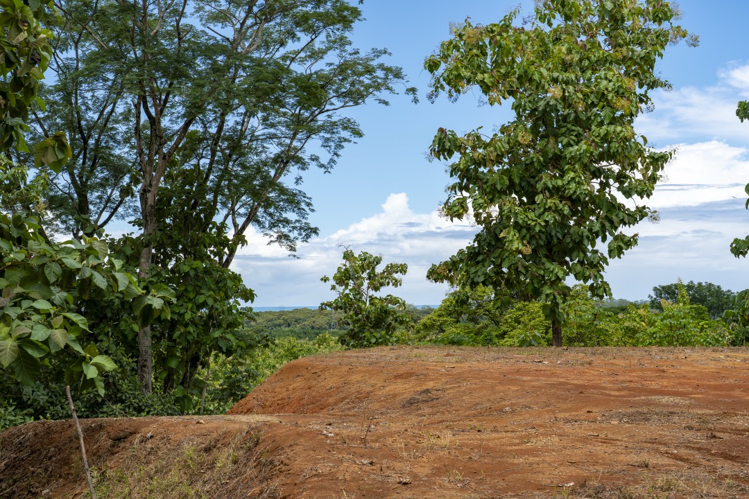 Tulpa Ridge – New Gated Ocean View Community in Matapalo selected