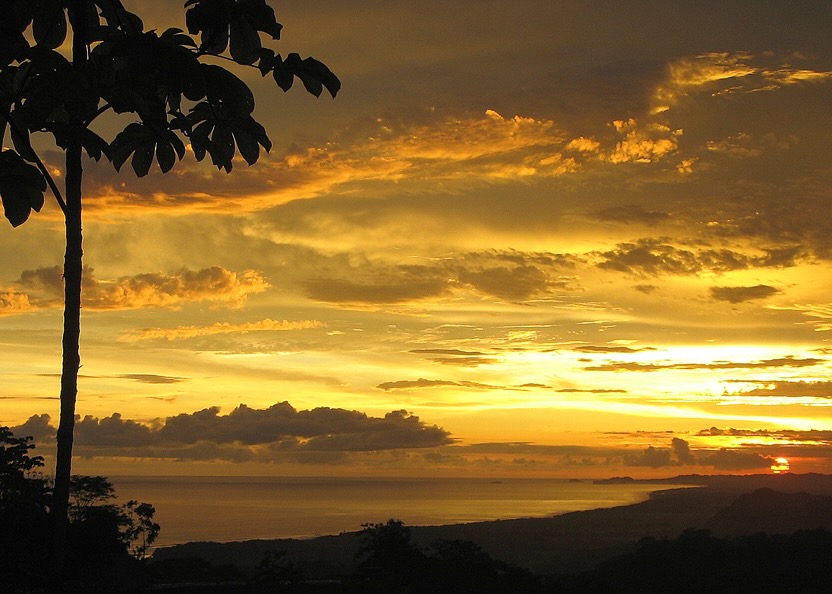 3 Bedroom Ocean View Home, Guest House, and Additional Building Site on 11.35 Acres selected