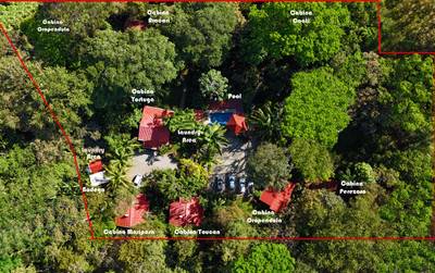 Income Producing Jungle Retreat with 8 Cabinas and Pool in the Heart of Uvita image 2