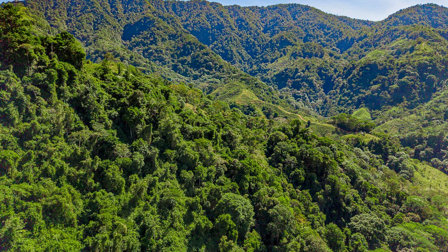 Whale Tail Views Luxury Waterfall Farm selected