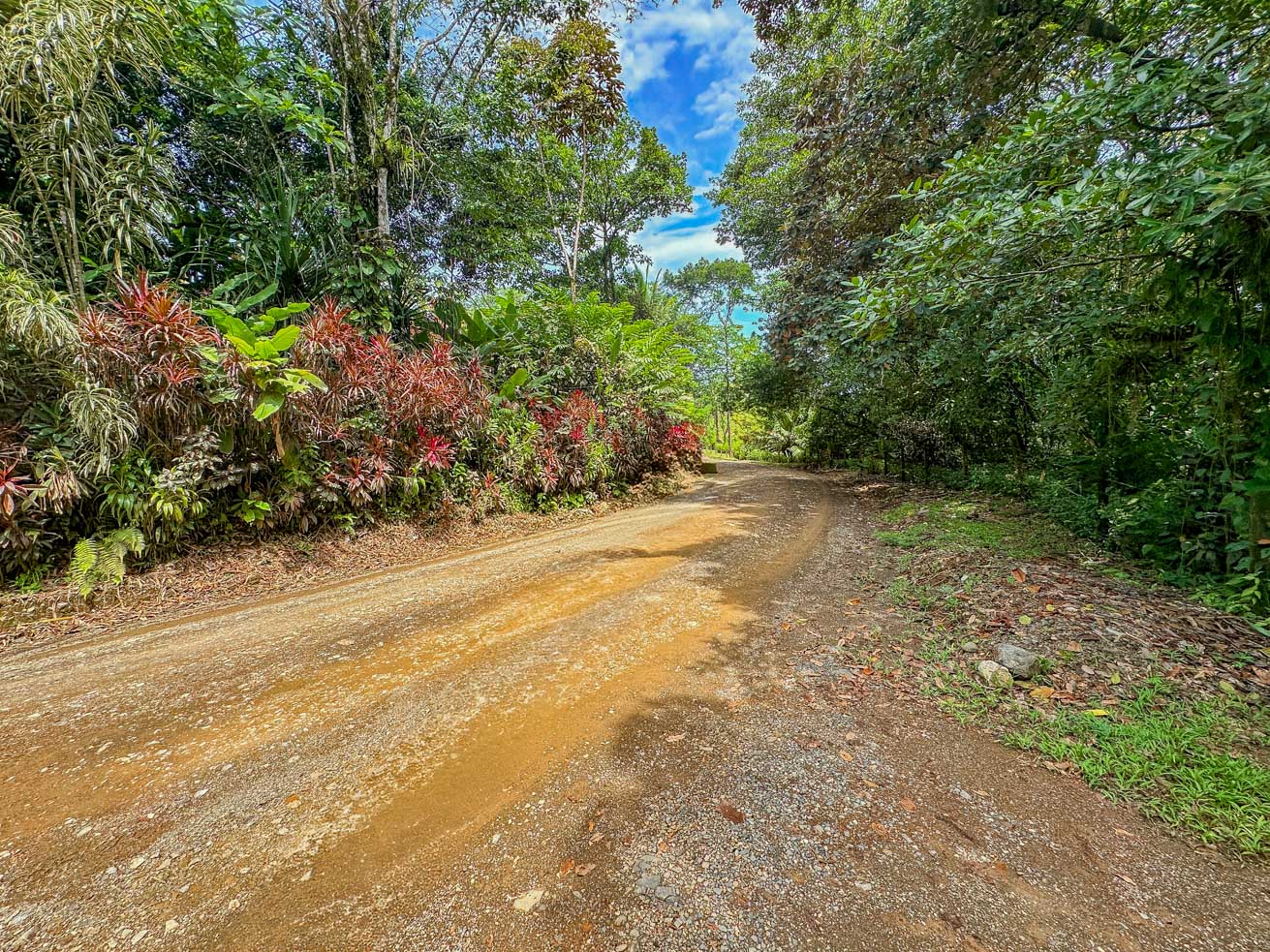 Jungle Sanctuary with Income-Generating Casitas, Creek, Pool & Ultimate Privacy in Ojochal selected