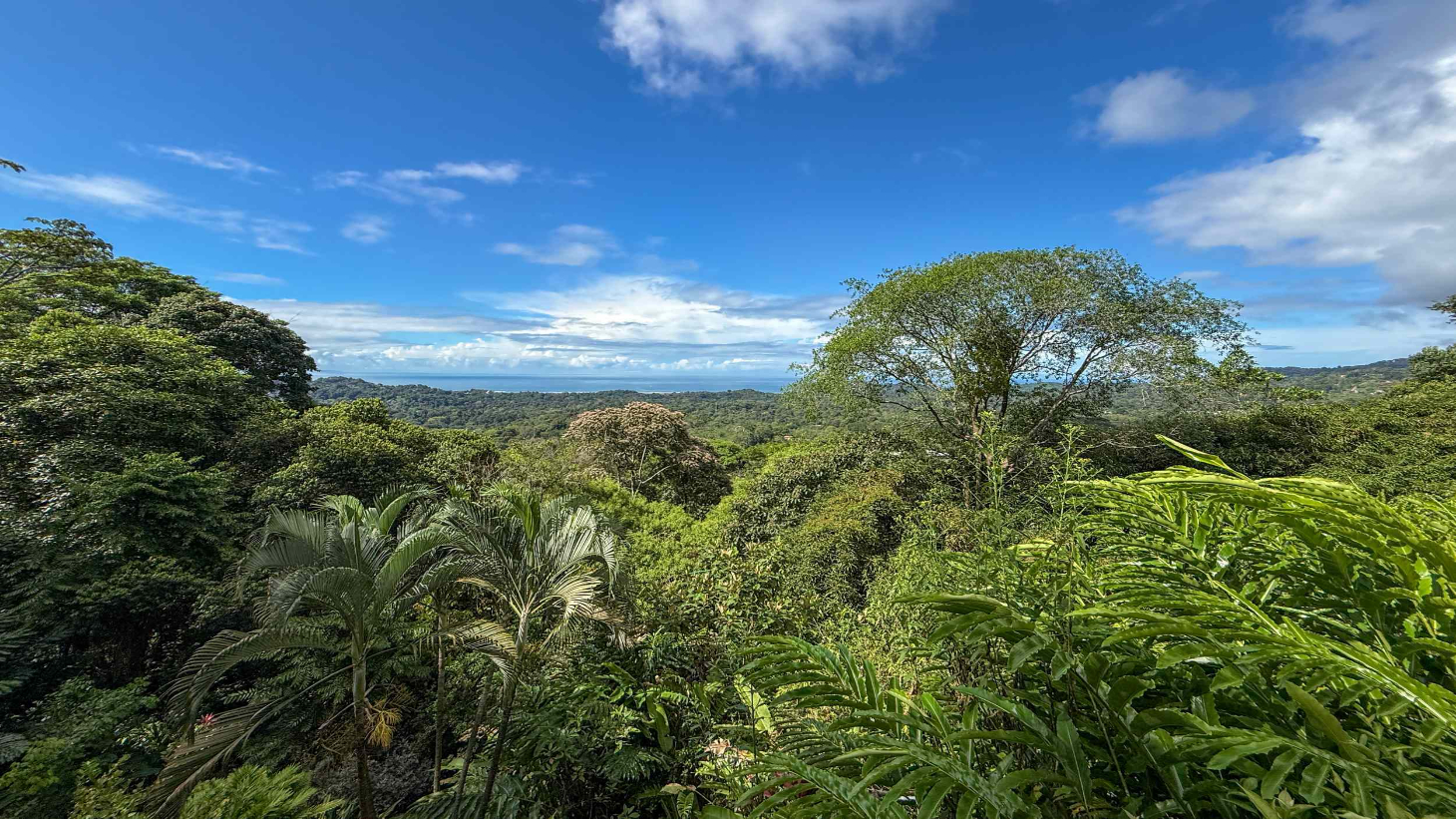 Panoramic Ocean View 4-Bedroom Home with Big Pool in Ojochal Costa Rica selected