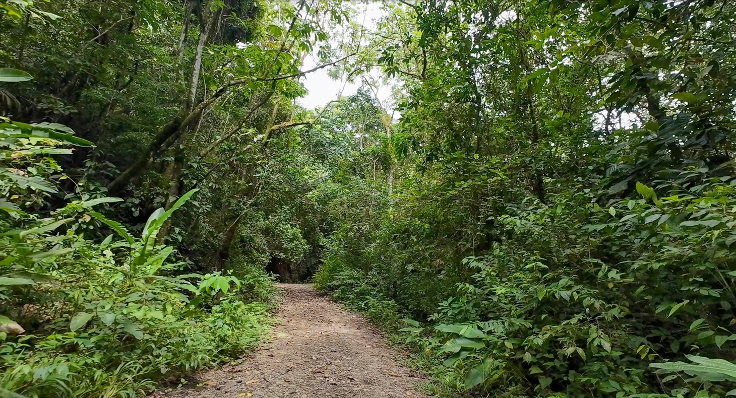 Stunning 16 acre Ocean View Property San Buenas, Costa Rica  selected