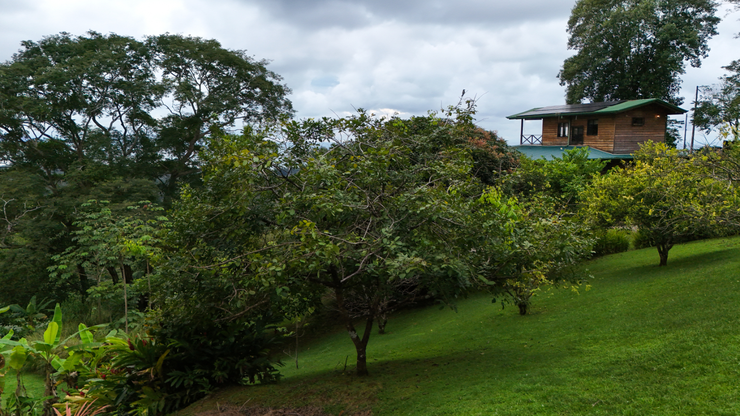 Luxury Ocean-View Estate with Infinity Pool, Main House & Guest House, Ojochal selected