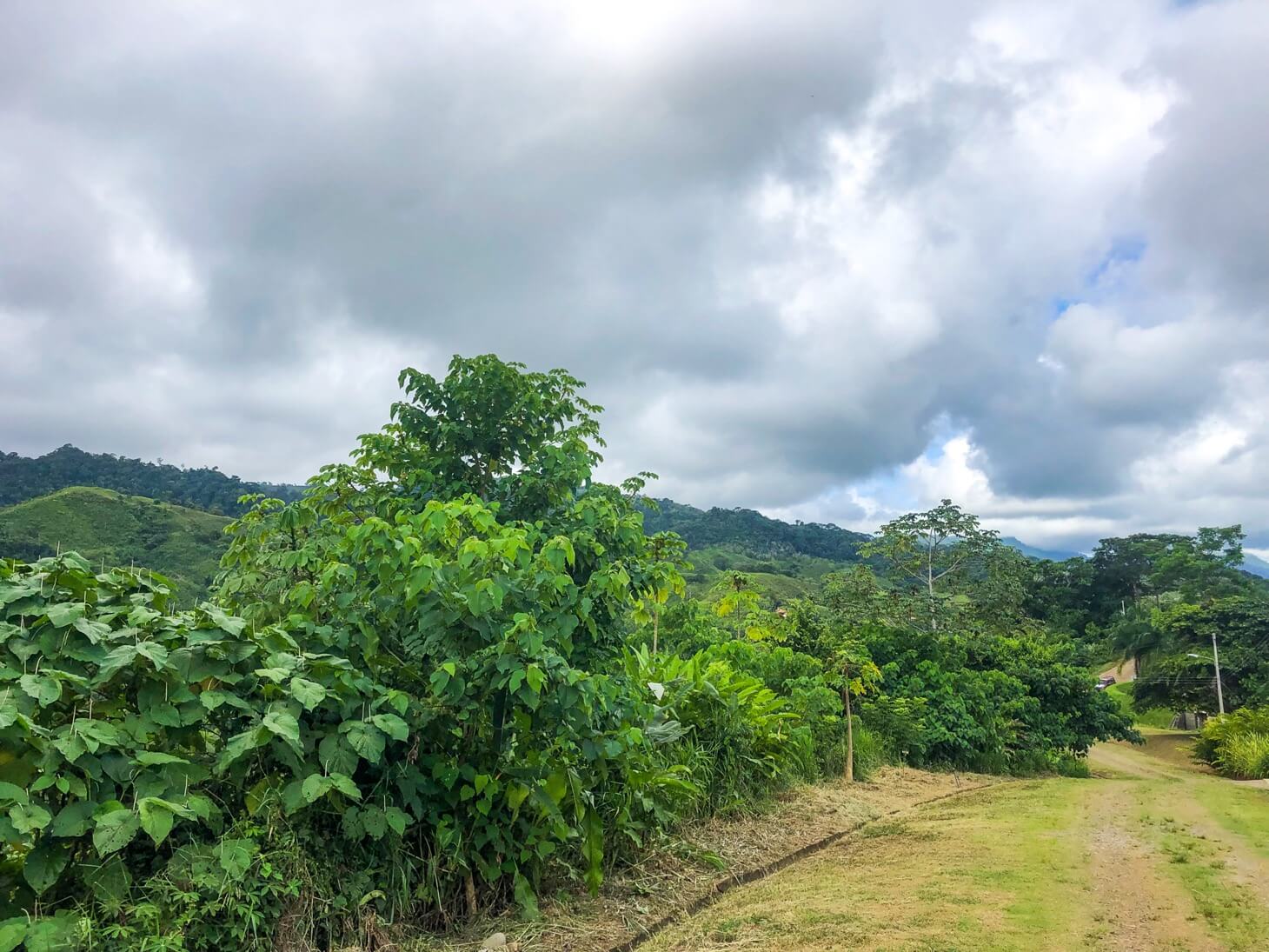 Expansive Ocean View Residential Lot in Chontales selected