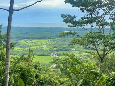 61.78 Acres of Oceanview Bliss with Private Waterfall in Tres Rios image 2