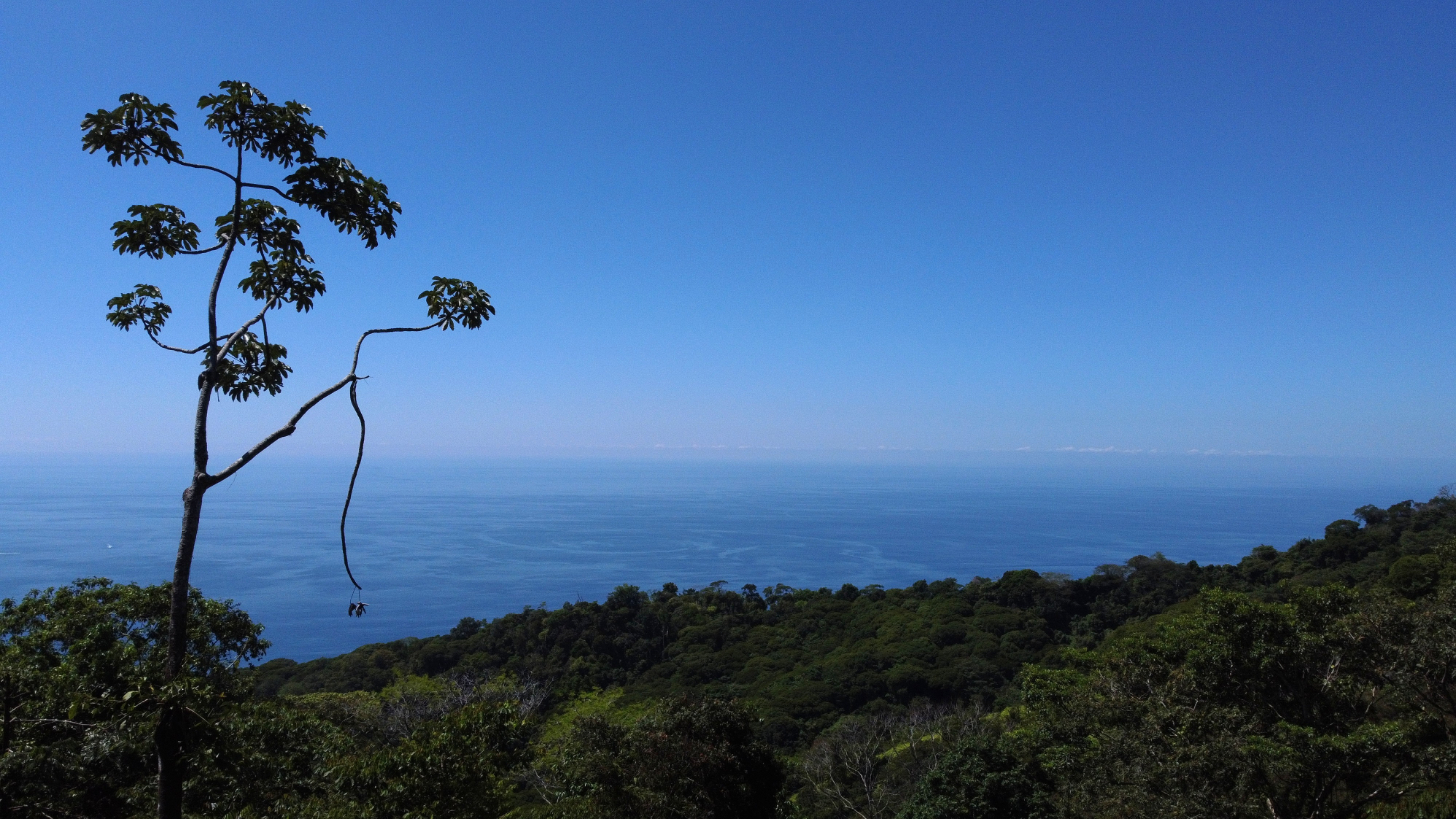 Exclusive 5.80 acres Ocean View Estate Lot in Costa Verde Estates – Escaleras selected