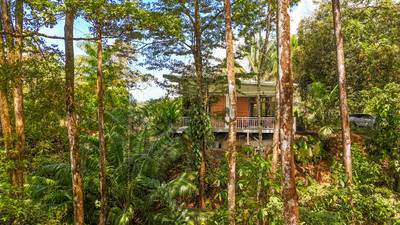 Uvita Jungle Home for Sale | Private Creek Lot Near Marino Ballena image 2