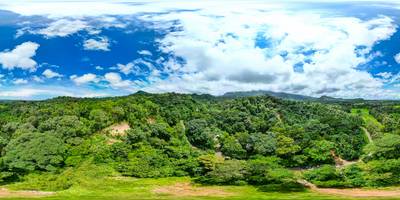 Serene 1.3-Acre Ready-to-Build Jungle Lot in San Buenas image 2