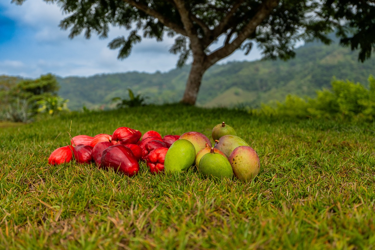 Ocean View Development Property with Waterfall Vista — 14.83 Acres in San Luis de Morete, Near Uvita selected