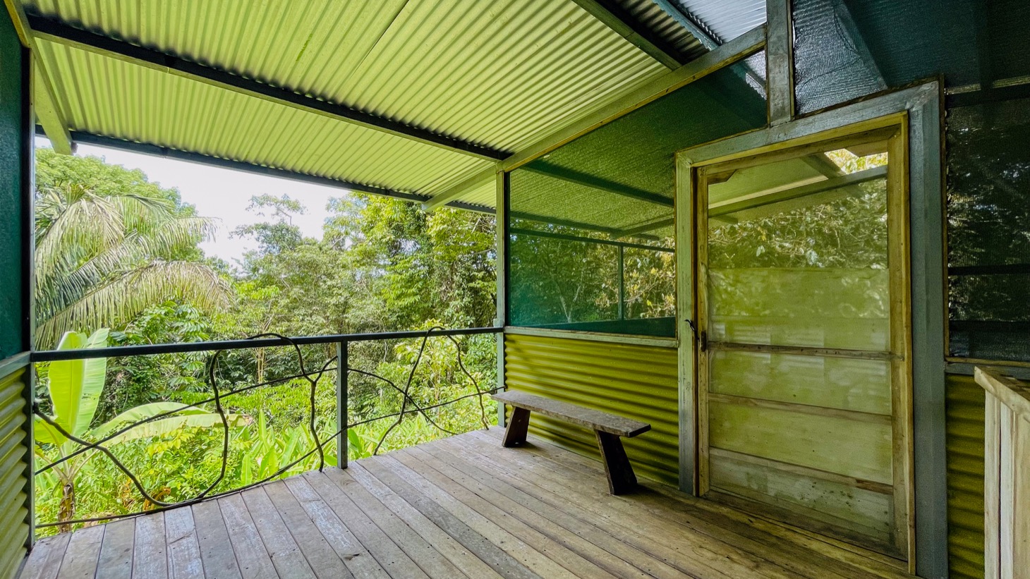 14-Acre Eco-Haven with Ocean View & Riverfront, Minutes from Beaches and National Park selected