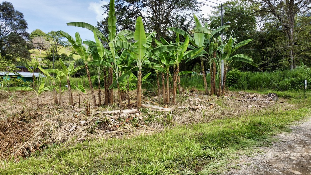 0.2 Acres With Premium Location in Ojochal selected