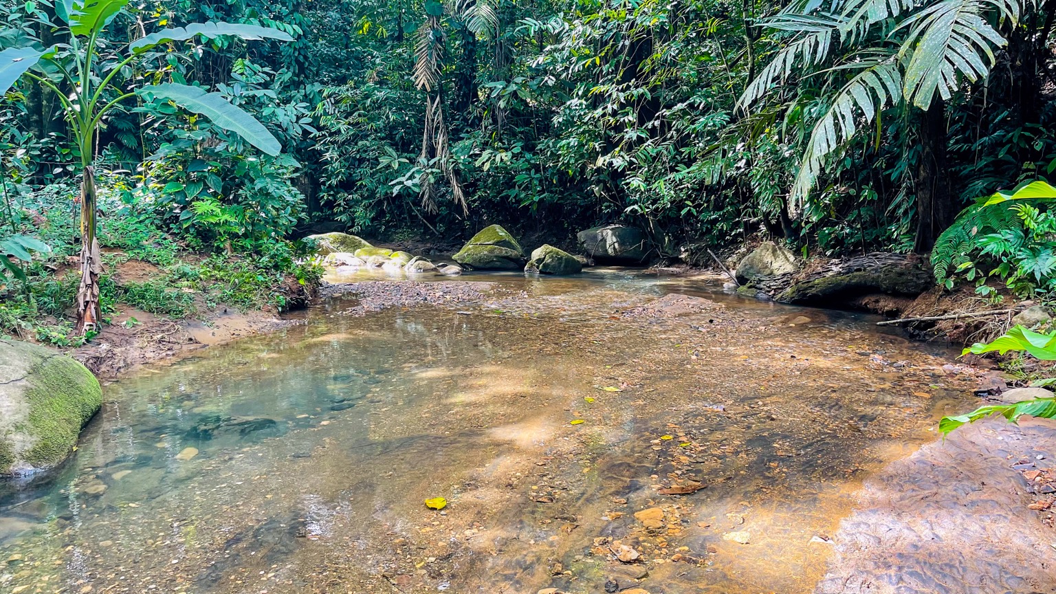 Premium 9.3-Hectare Farm for Sale in Ojochal, Costa Rica selected