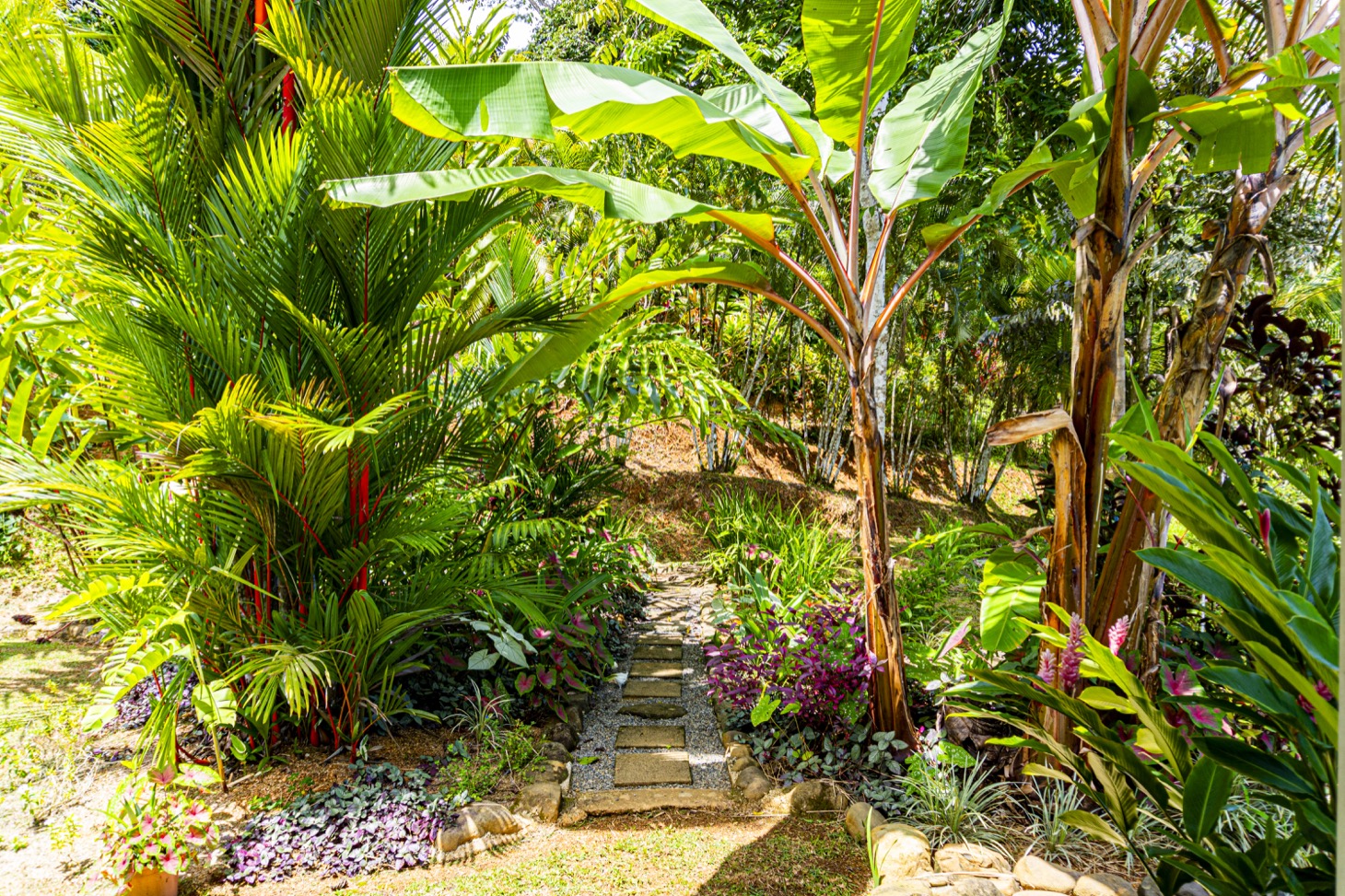 Move-In Ready Ocean View Home Surrounded by Nature selected