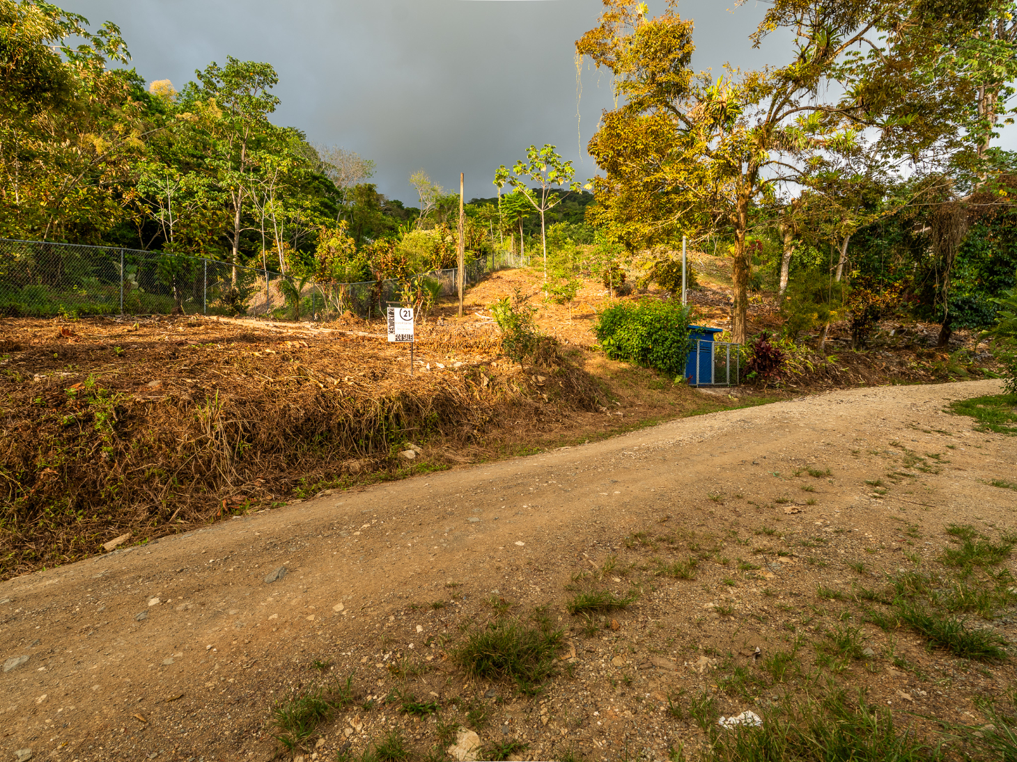 Ocean & Sunset View Lot for Sale in Ojochal, Costa Rica selected