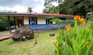 2.9 ACRES – Tons of Fruit Trees, 3 Bedroom Tico Home Plus Bodega In Tinamastes selected