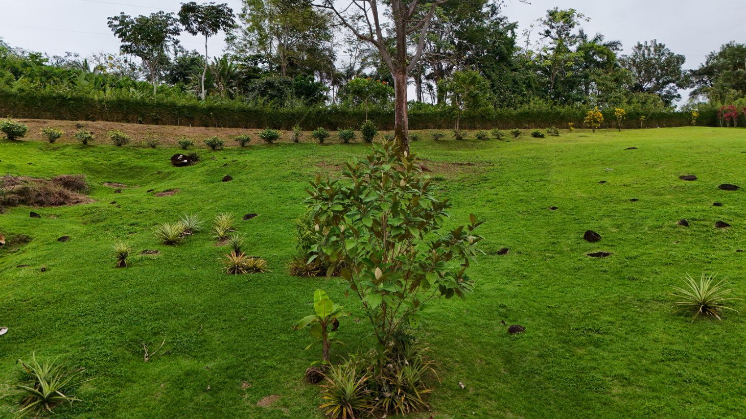 Luxury Ocean-View Estate with Infinity Pool, Main House & Guest House, Ojochal selected