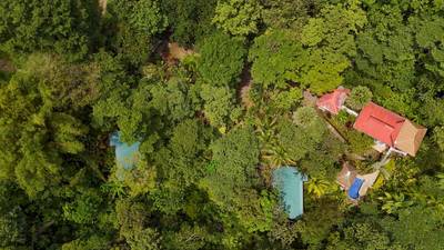 Jungle Sanctuary with Income-Generating Casitas, Creek, Pool & Ultimate Privacy in Ojochal image 2