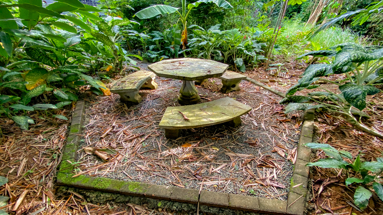 Tropical 4-Bedroom Home for Sale in Uvita | Pool & Airbnb Income selected