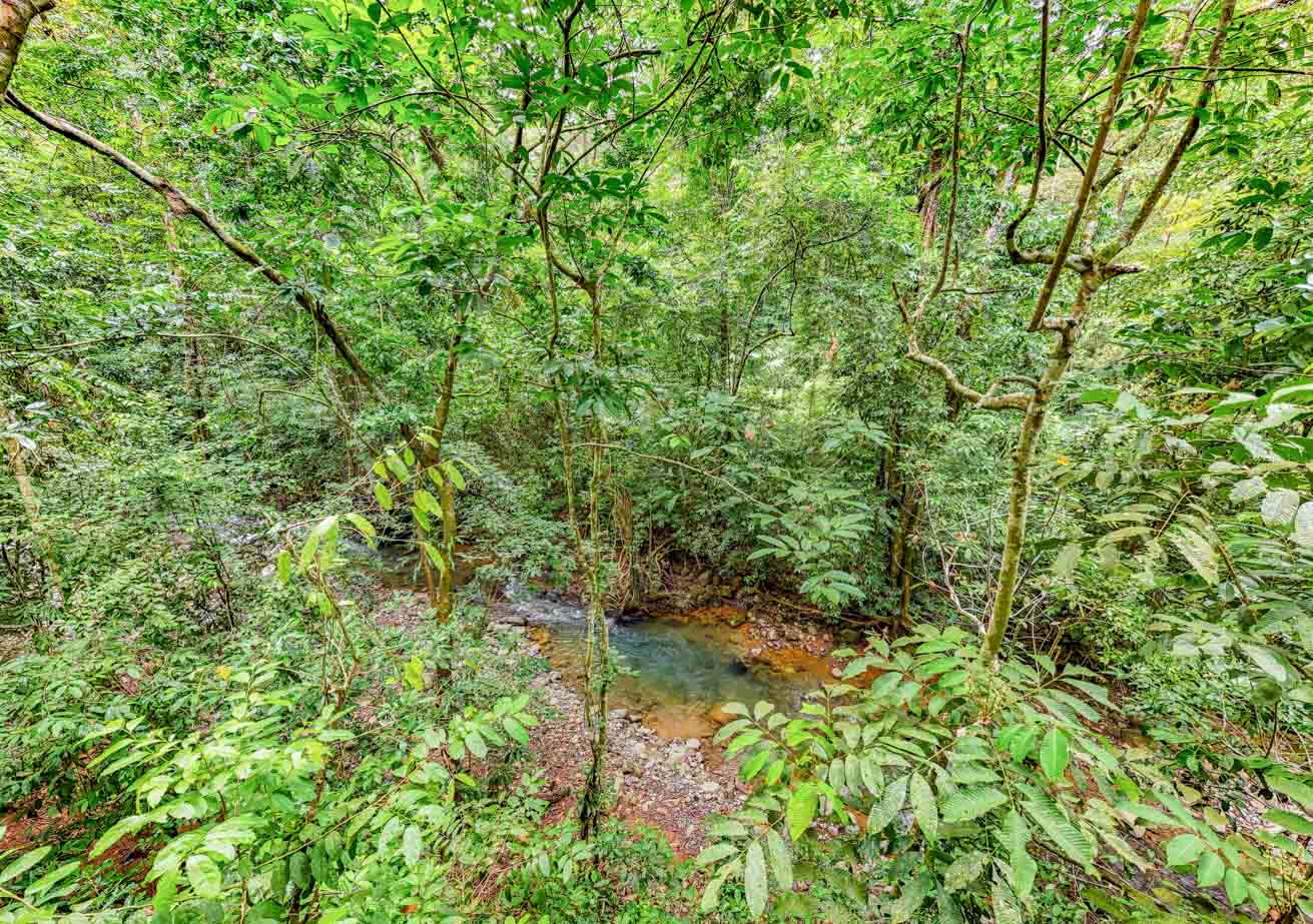 Wonderful Jungle Lot with a Crystal Mountain River Border in Ojochal selected