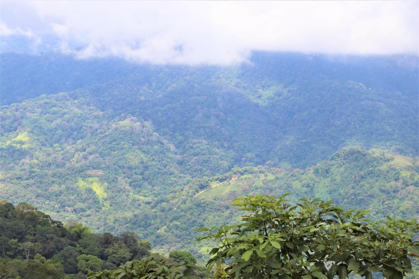 3 Spectacular Ocean View Farms in Uvita selected