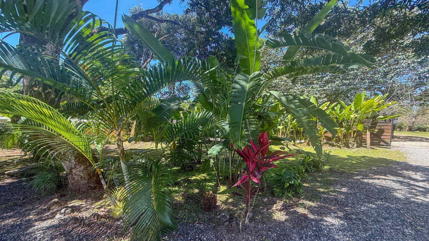 Gorgeous Jungle Hotel with 11 Beds including Owner/Manager Unit, Sparkling Pool & River Setting in Ojochal Costa Rica selected